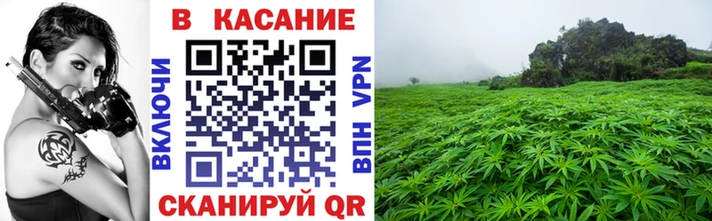 Купить Канабис  МЕФ  Псилоцибиновые грибы  Гашиш  Вейп ТГК  СК  Краснослободск