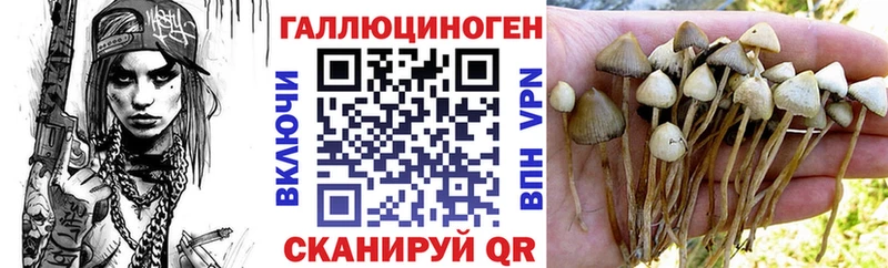 Псилоцибиновые грибы MAGIC MUSHROOMS  Купить где  Краснослободск 